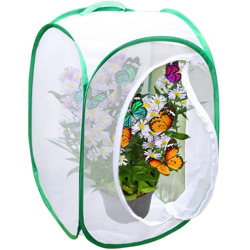SunGrow Foldable Butterfly Habitat, 24" Butterfly Cage for Caterpillars, Create Farm, Enclosure for Breeding Soldier Fly, Ladybug, Dragonfly, or Housefly for Chicken and Reptile Feed, Green - Image 1